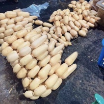 【推荐】精品莲藕品质保证湖北莲藕量大价优对接市场商超