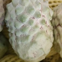 广西释迦果