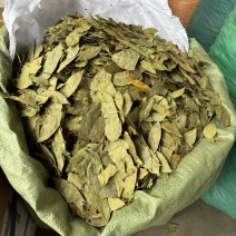 进口香叶，国产香叶，中绿，特绿