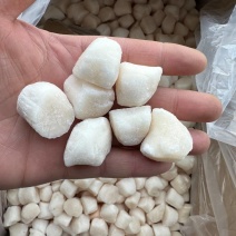 烟台速冻扇贝丁瑶柱手剥海捕新鲜扇贝柱