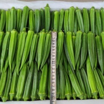 山东青岛莱西莱阳秋葵，电商，团购，市场一件代发