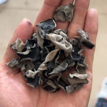 东北黑木耳不加重干木耳地摊电商批发木耳干不加重木耳