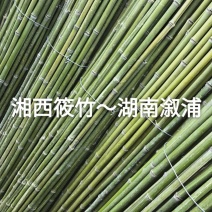 竹竿、菜架竹、竹架条、金竹、铁竹、豆瓜扦