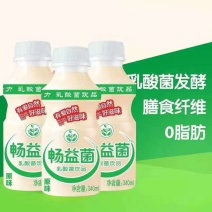 乳酸菌340ml