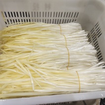 广西精品韭黄，新鲜种植，品质优良，货量充足，欢迎咨询