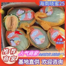[牛]海南哈密瓜晓蜜25哈密瓜产地一手货源量大从优商超