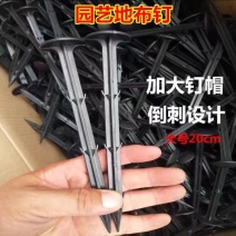 地钉地布钉11-16-20CM规格多量大价优欢迎
