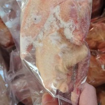 鸽子