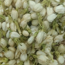 茉莉花无美颜，无滤镜，实物拍摄，放心下单