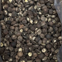 黑面香菇各种规格全国发货