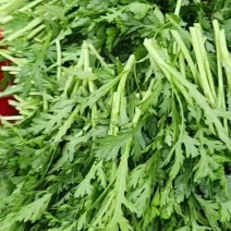 茼蒿菜