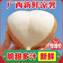新鲜凉薯广西水果生吃特脆甜地萝卜贵州沙地葛薯白地瓜豆薯