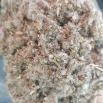 优质棉渣批发厂家直销