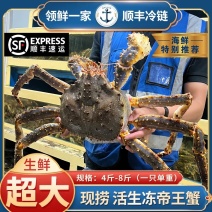 帝王蟹鲜活冷冻海鲜特大3-13斤1只冰鲜皇帝蟹俄罗斯皇帝