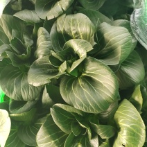大量精品太湖菜