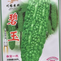苦瓜种子碧玉翠绿色大刺瘤太空早熟杂交品种高产美观