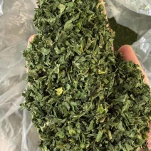批发大叶欧芹颜色好杂质少***********