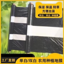 黑白地膜地膜单白双白地膜保温湿除草种植蔬菜庄稼