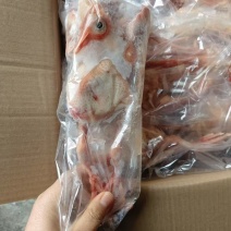 鸽子