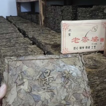 正宗广西梧州特产原种六堡霜降老茶婆砖一斤一砖