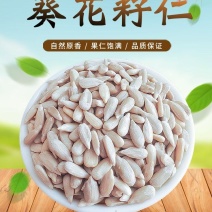 内蒙古精选生葵花籽仁无壳免剥，价格实惠欢迎采购