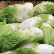 儿菜