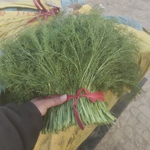 河北衡水扁杆茴香产区直发可按需加工包装欢迎来电洽谈