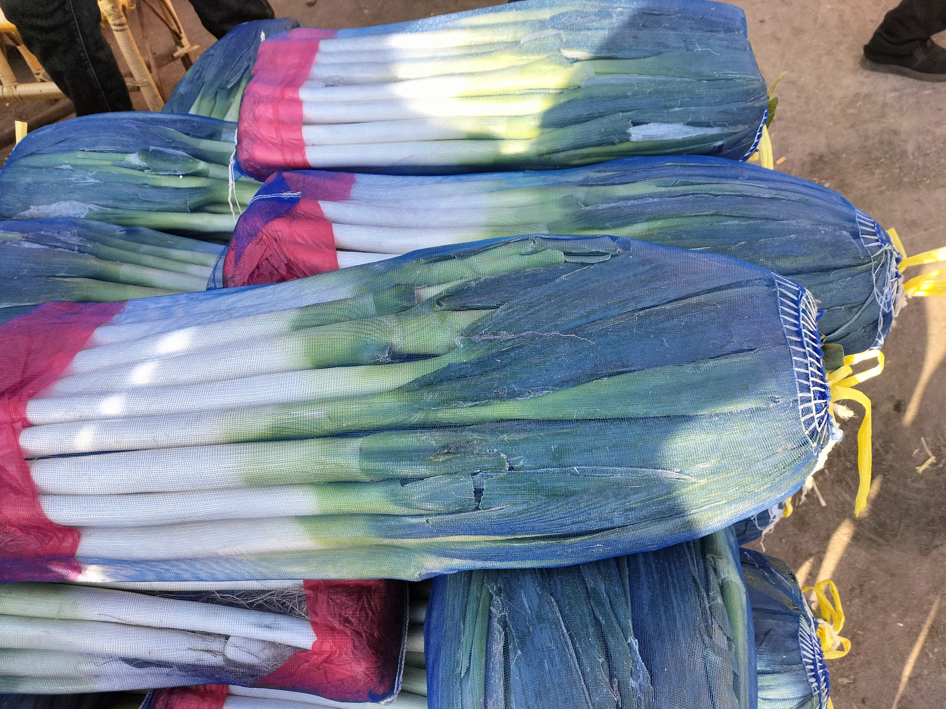 粉青大肉白皮冬瓜在现代化分拣车间内的处理流程