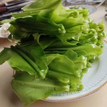 台湾山苏菜