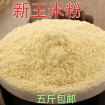 玉米面零售批发