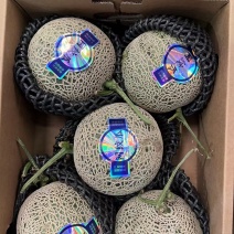 网纹瓜……大量有货……量大优惠