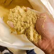 大豆胚芽粉
