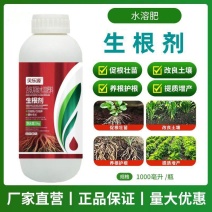 生根剂生根液促根壮苗养根护苗果树蔬菜花卉中药材