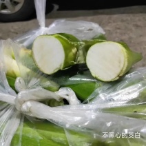 湖北仙桃双季早熟水果茭白苗/量大价优/一手货源