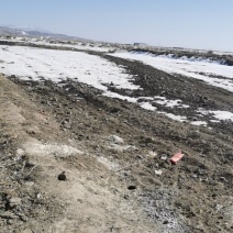 出租5000亩左右条田浇水地，可以滴，有意向的可现场考察
