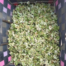 云南野生棠梨花水煮棠梨花