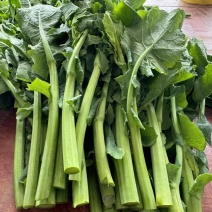 硒菜苔油菜苔支持一件代发
