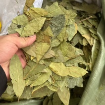 特绿，中绿，进口香叶，国产香叶