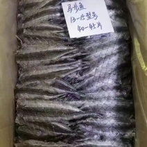 马步鱼一手货源大量现货量大从优