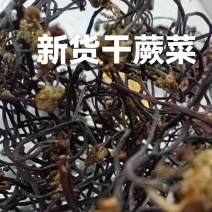 新干货，蕨菜