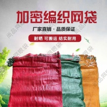 源头厂家大蒜网袋玉米网袋各种蔬菜网袋欢迎咨询