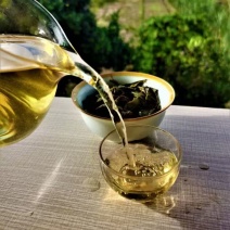 普洱散生，2019年易武正山老树茶