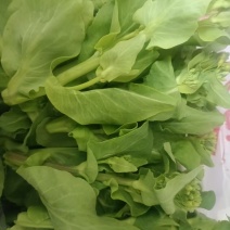 菜