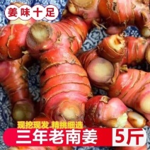 新鲜山姜头潮汕老南姜山姜南姜山姜南姜山姜整箱包邮蔬菜山姜