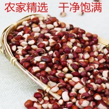 花豇豆22年新货芸豆食品豆五谷杂粮批发厂家批发