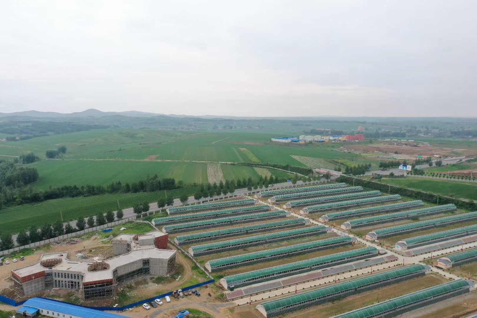 航拍视角下的网纹瓜种植园区,整齐排列的温室大棚和正在成熟的瓜田,展现出现代化农业的风貌 网纹瓜种植基地航拍图