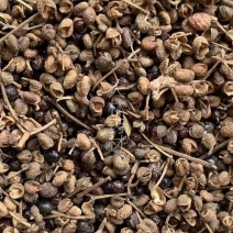 土花椒【包邮】三斤起发货可批量可零售量大从优