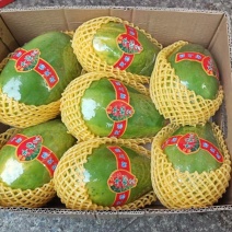 海南牛奶木瓜，当季新鲜，甜蜜嫩滑，产地直发整箱批