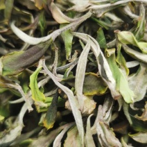 云南高海拔古树有机茶，白茶，红茶，普洱生茶。