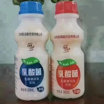 乳酸菌
